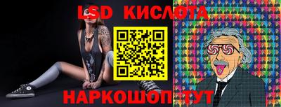 spice Обнинск