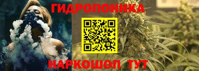 шишки Нягань