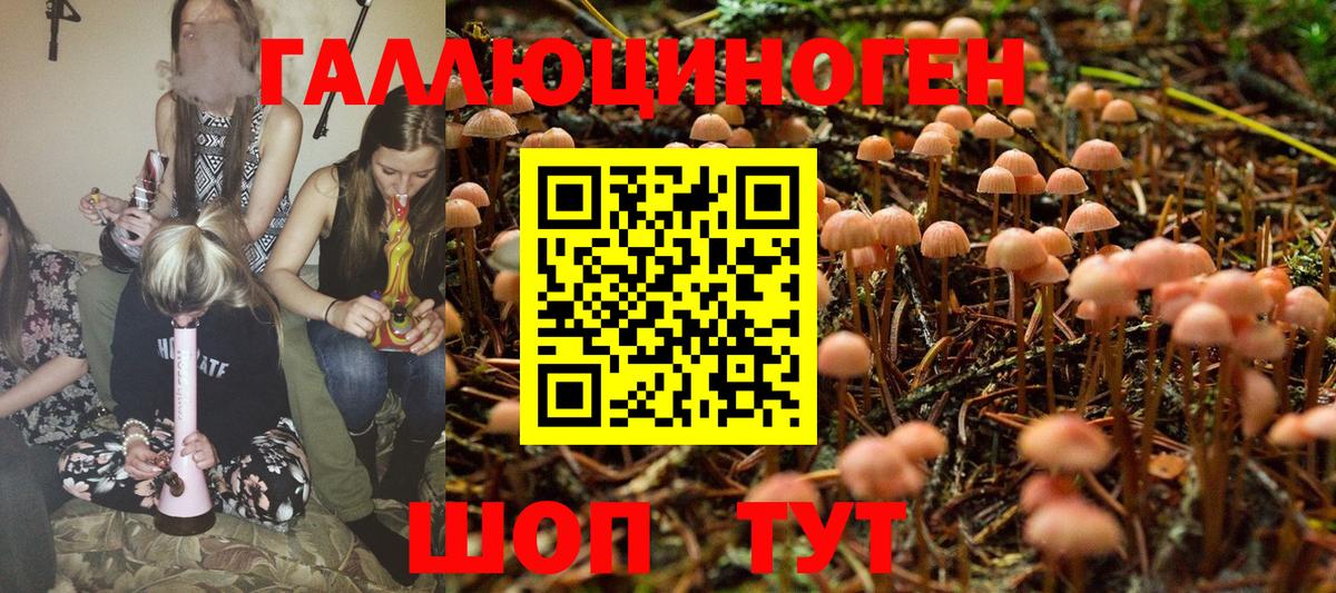 Семилуки  Псилоцибиновые грибы MAGIC MUSHROOMS  Вход с VPN 